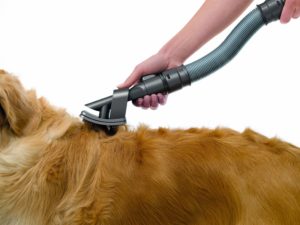 Saugbürste Staubsaugerbürste Teppich Bürste für Katzen und Hunde Haare